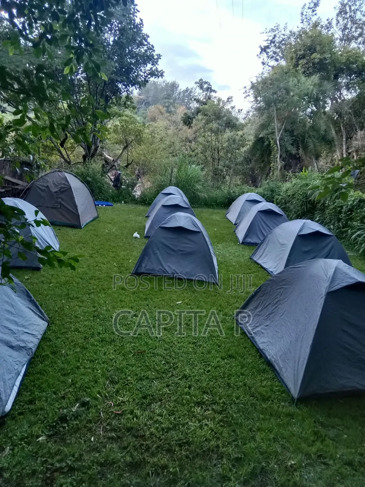 Monkey Resort