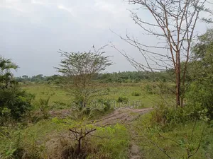 Land on Sale Kwale County Majoreni 17 Acres 350 Pr Acre