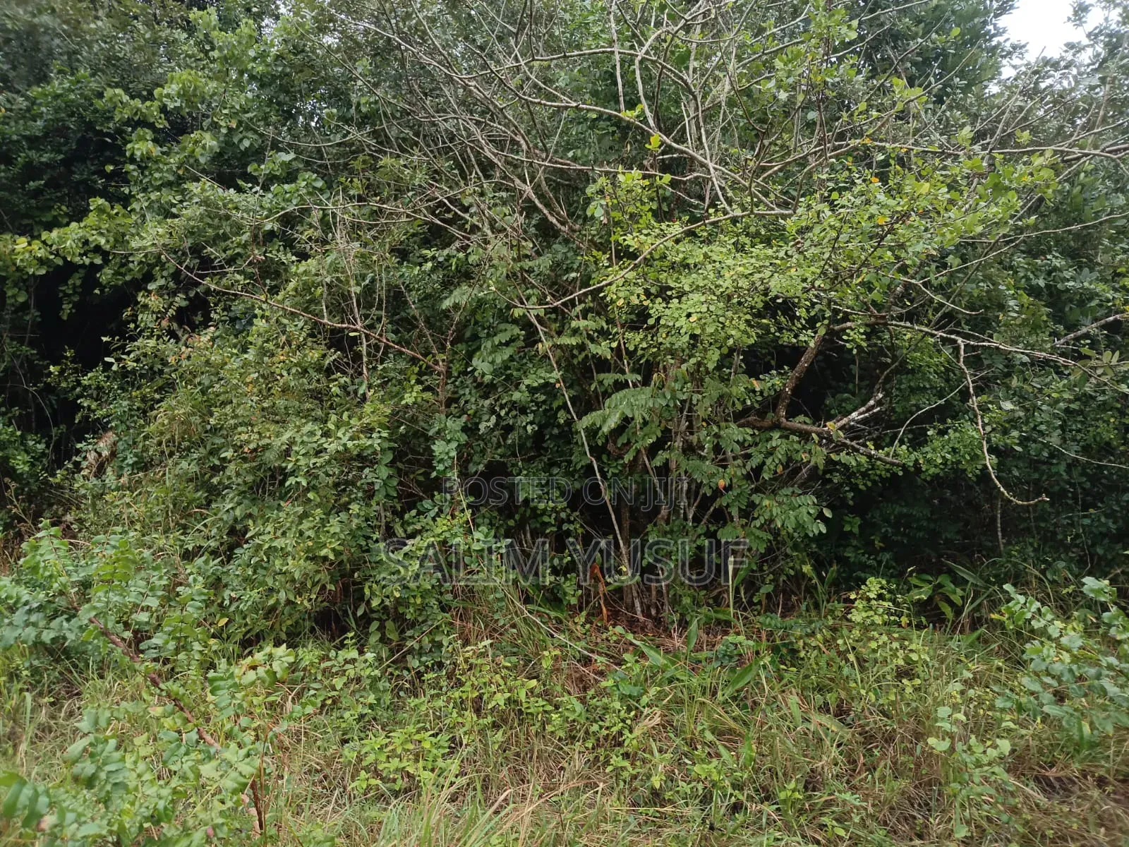 Land on Sale Kwale County Majoreni 17 Acres 350 Pr Acre