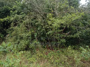 Land on Sale Kwale County Majoreni 17 Acres 350 Pr Acre