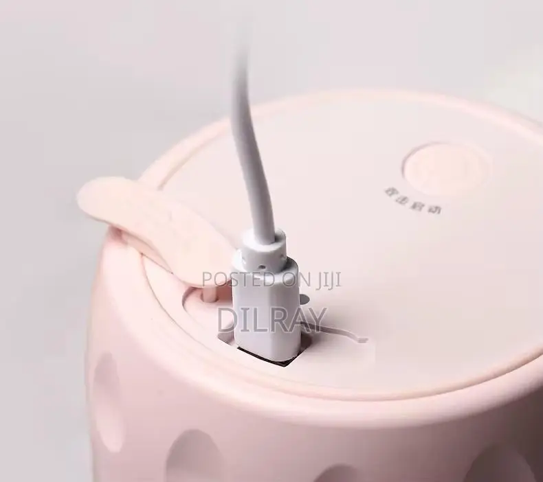 Portable Juicer