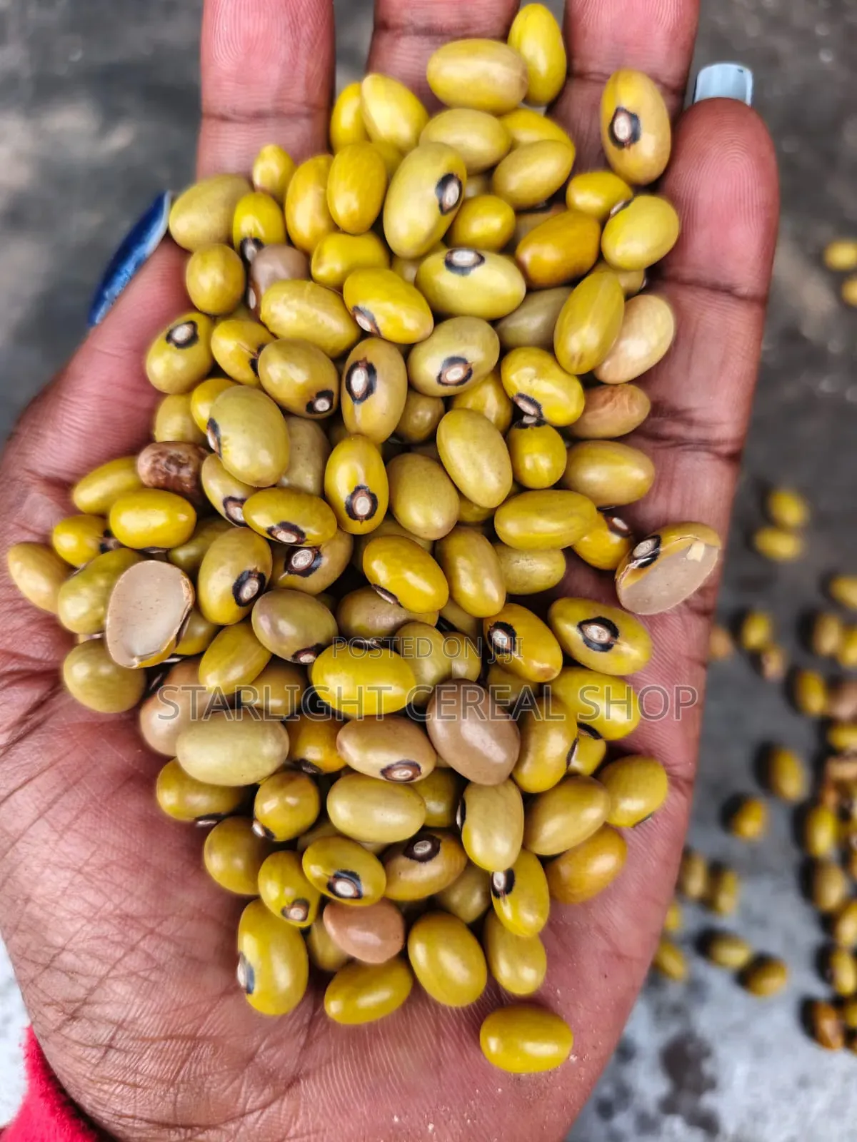 Ready to Cook Yellow Beans