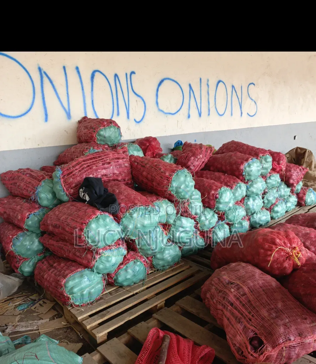 Red Onions