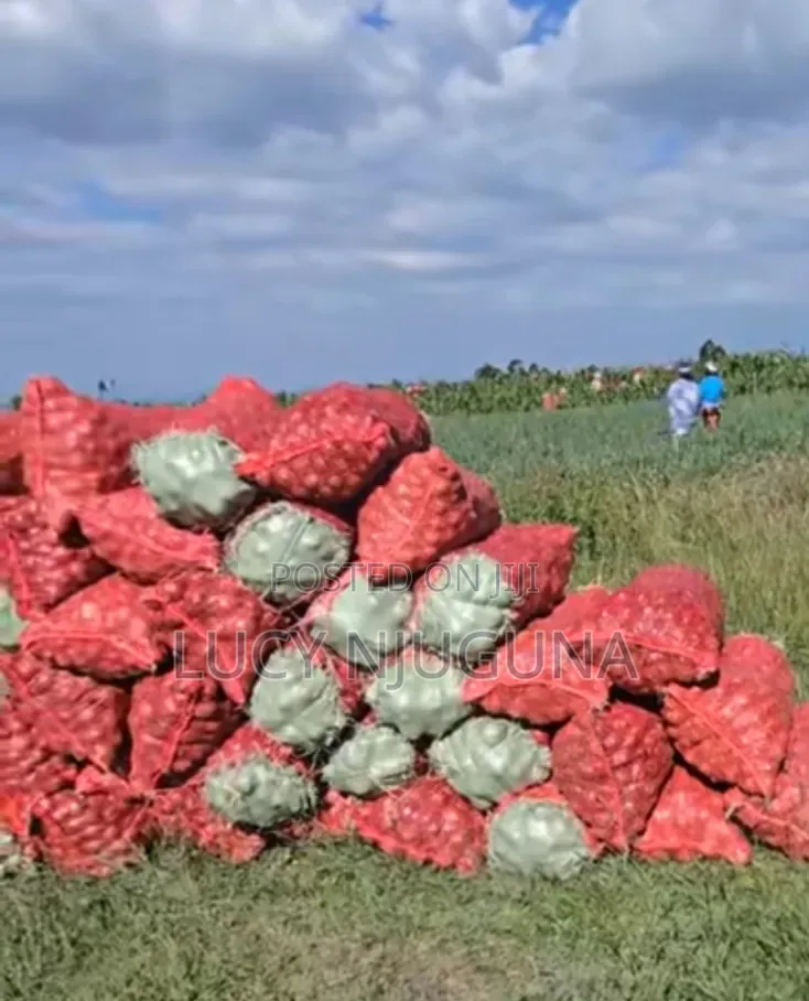 Red Onions