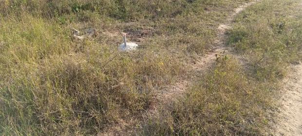 Land on Sale Matuga Voroni 2 Acres  850pre Acre