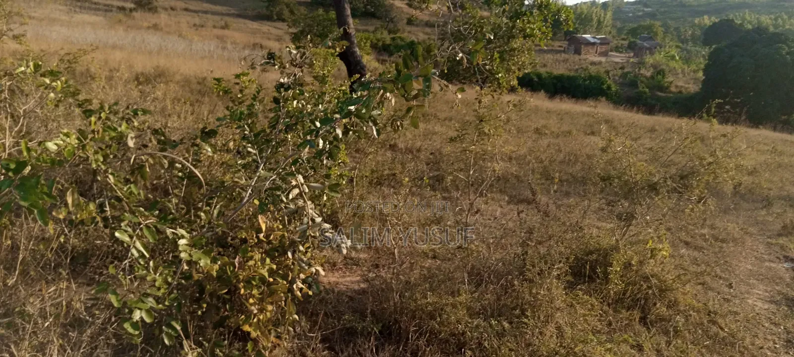 Land on Sale Matuga Voroni 2 Acres  850pre Acre