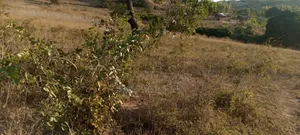 Land on Sale Matuga Voroni 2 Acres  850pre Acre