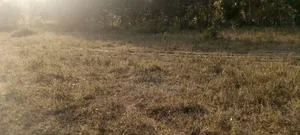 Land on Sale Matuga Voroni 2 Acres  850pre Acre