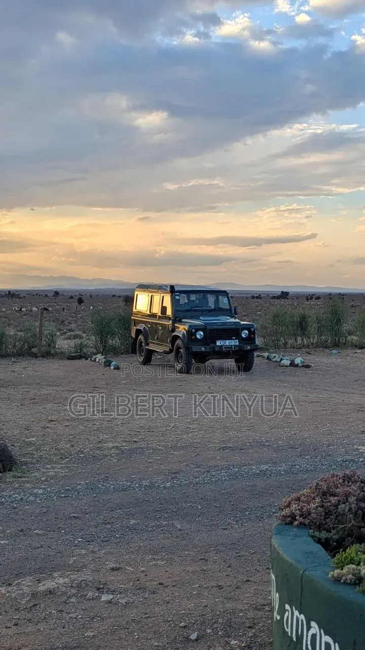 Land Rover Defender 2010 Green