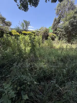 Karen 1/2acre for Rent Touching Ngong Road