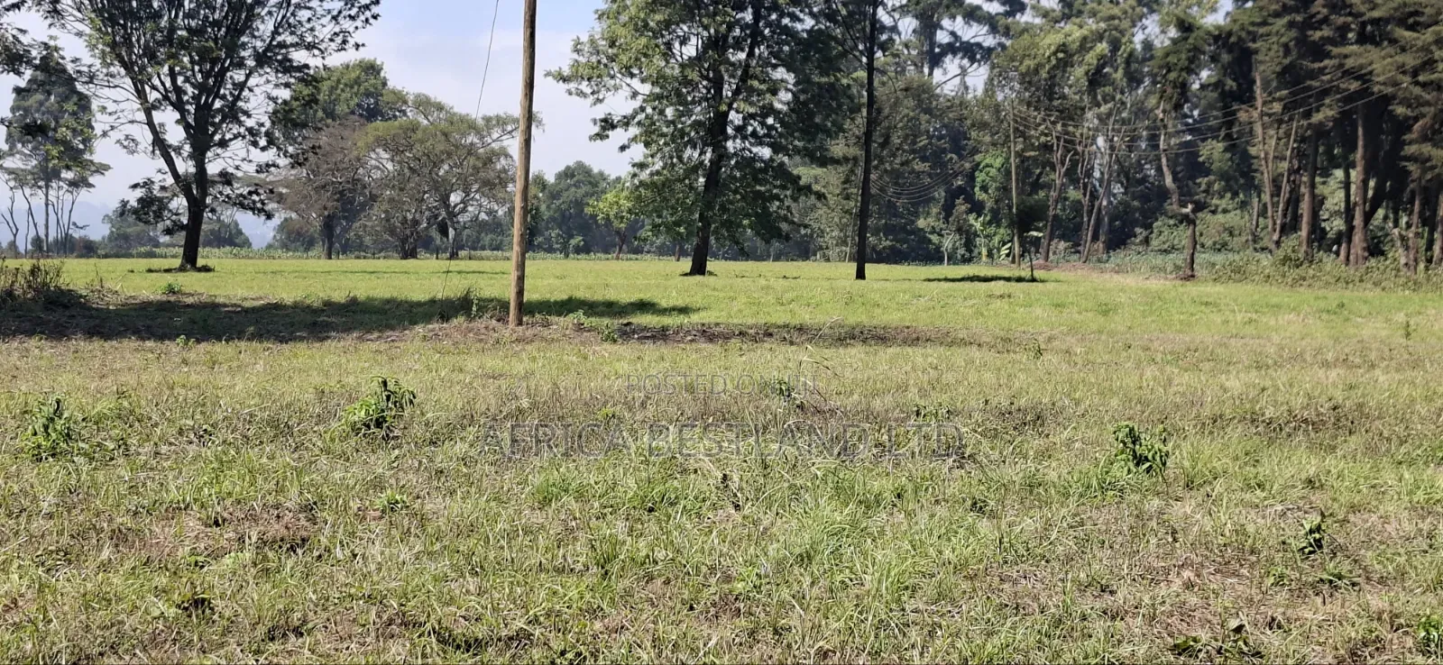 5 Acres Prime Development Land – Tilisi, Kiambu