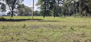 5 Acres Prime Development Land – Tilisi, Kiambu