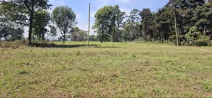 5 Acres Prime Development Land – Tilisi, Kiambu
