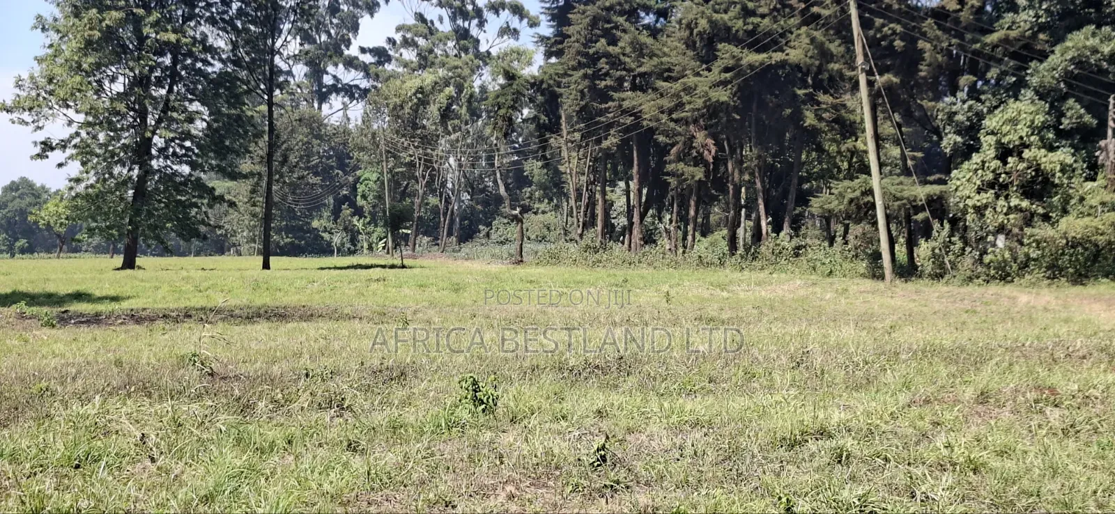 5 Acres Prime Development Land – Tilisi, Kiambu