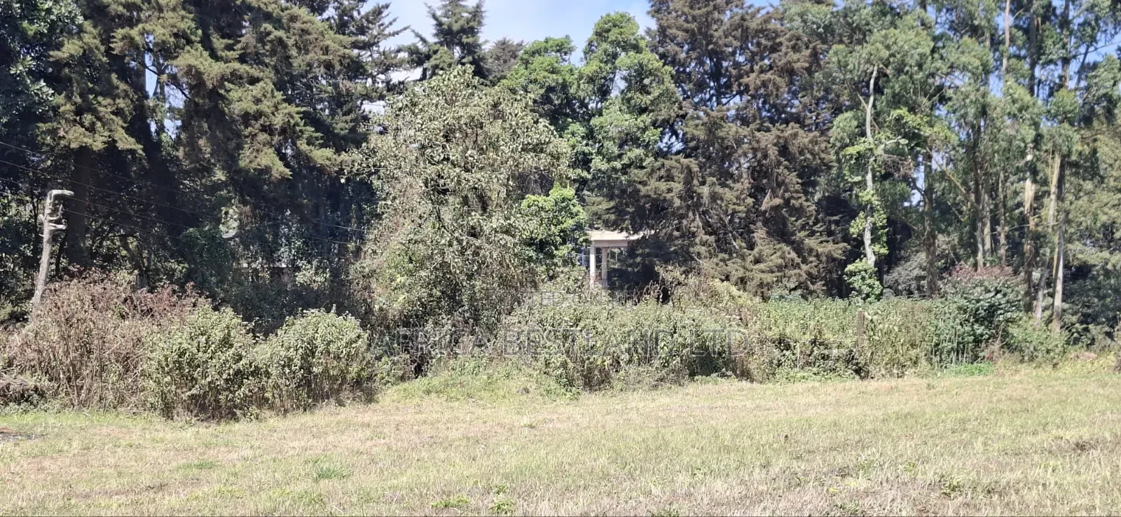 5 Acres Prime Development Land – Tilisi, Kiambu