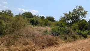 Prime Land
