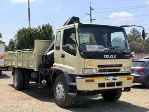 Isuzu FRR 2017 Beige