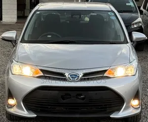 Toyota Axio 2019 Silver