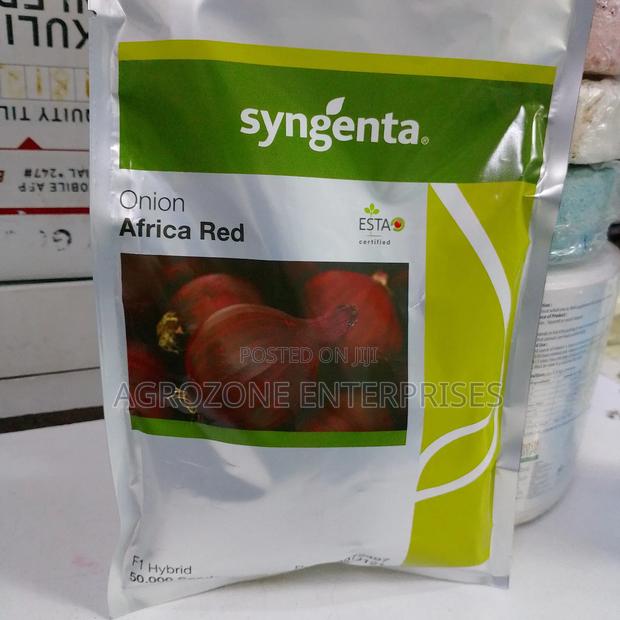 African Red Hybrid Onion F1 50,000 Seeds