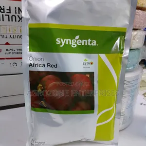 African Red Hybrid Onion F1 50,000 Seeds