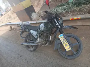 Shineray XY150-17 2012 Green