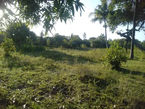 Prime 1/4 Acre at KSH 1.87M on Sale at Dogo Kundu-Kiteje Kwale County