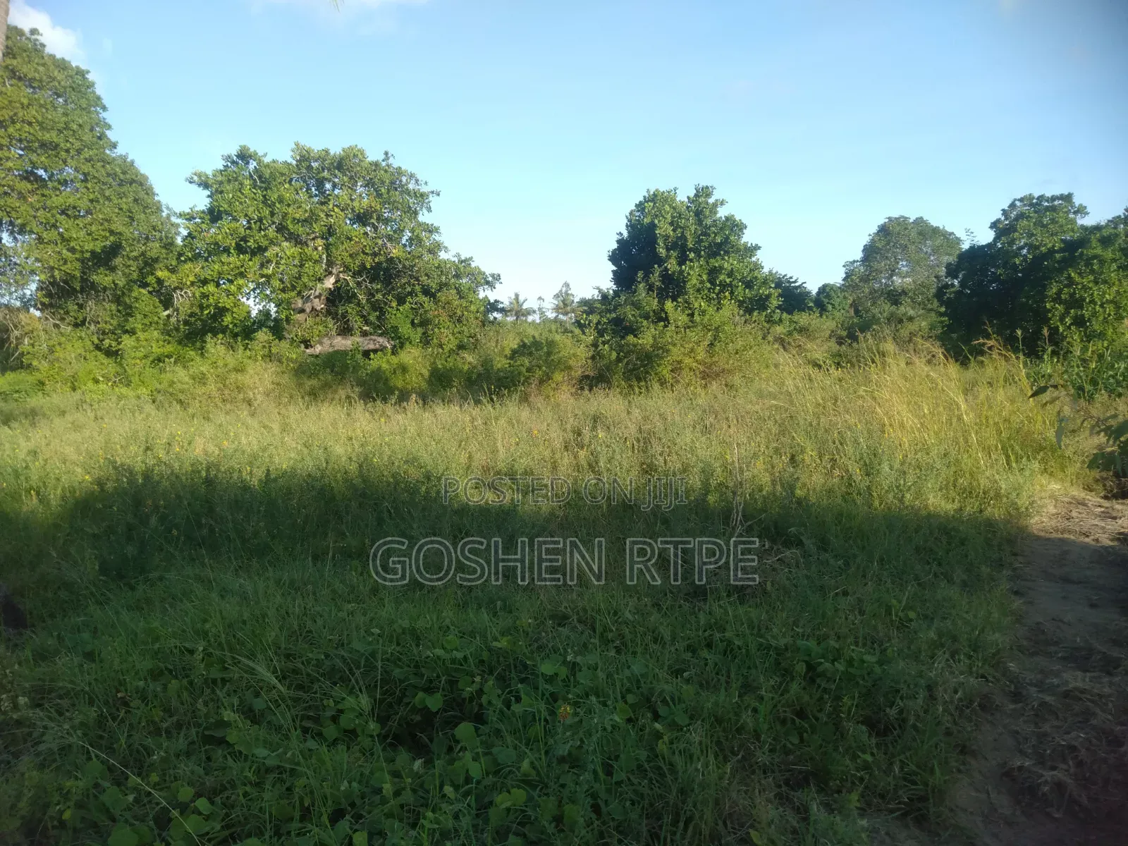 Prime 1/4 Acre at KSH 1.87M on Sale at Dogo Kundu-Kiteje Kwale County