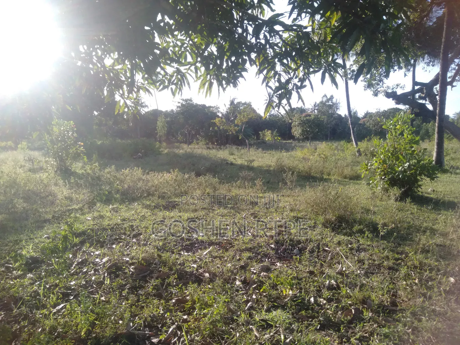 Prime 1/4 Acre at KSH 1.87M on Sale at Dogo Kundu-Kiteje Kwale County