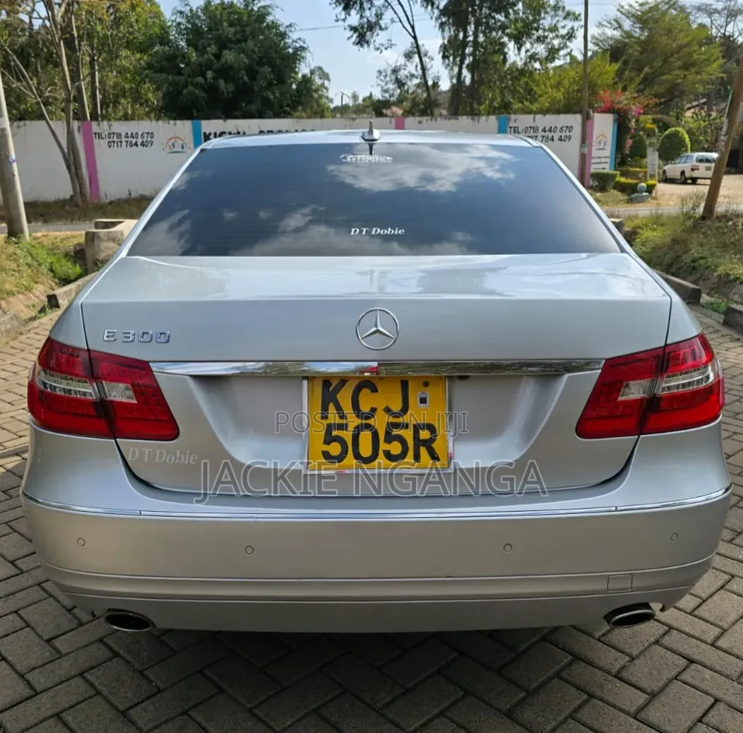 Mercedes-Benz E300 2010 Silver