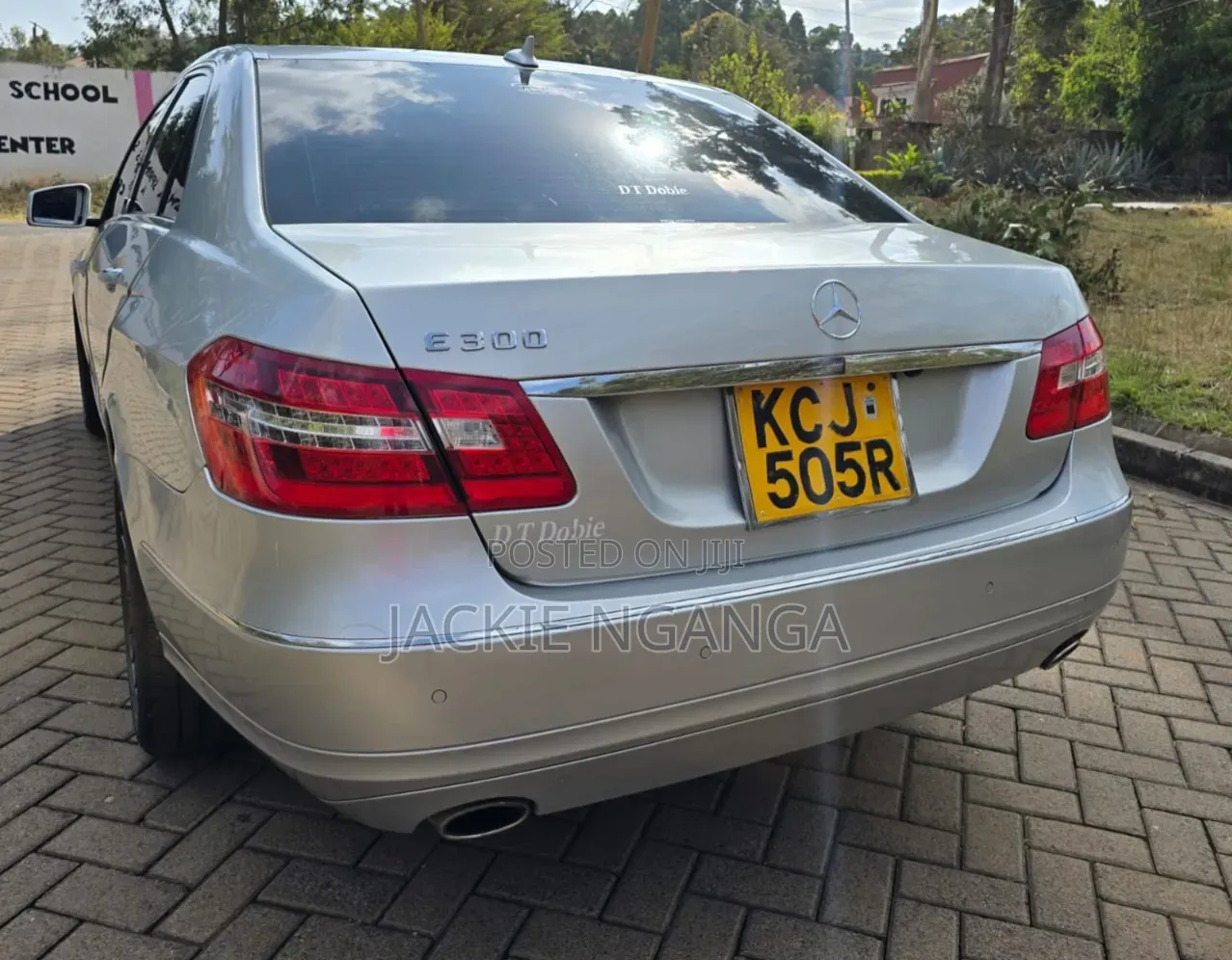 Mercedes-Benz E300 2010 Silver