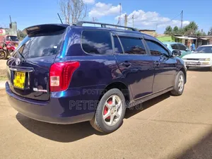 Toyota Corolla Fielder 2010 Blue