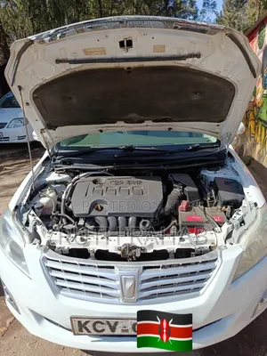 Toyota Premio 2012 White