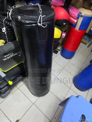 Gym Bags*** Fitness  Punching Bags Available