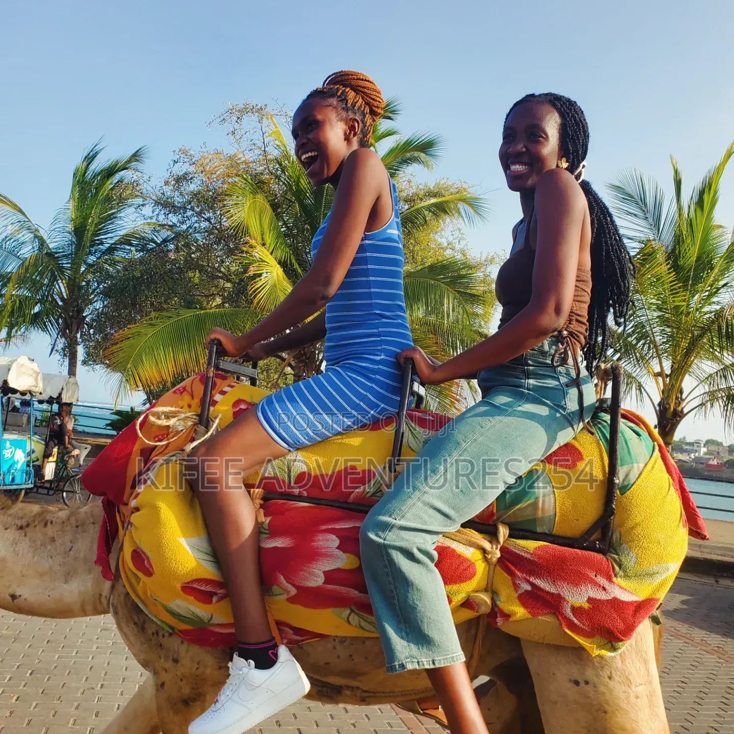 Coastal Tours,excursions and Accomodation