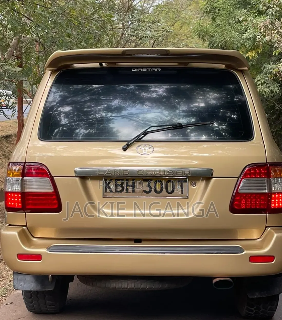 Toyota Land Cruiser 2004 Gold