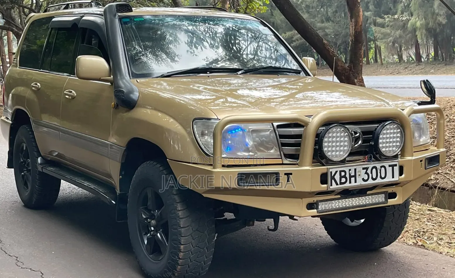 Toyota Land Cruiser 2004 Gold