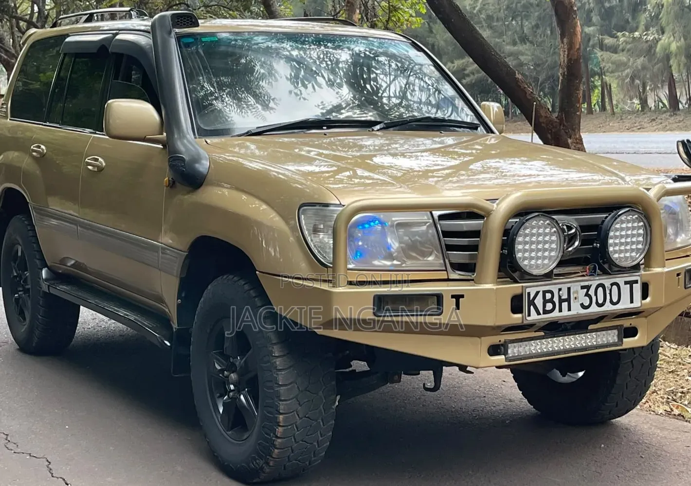 Toyota Land Cruiser 2004 Gold