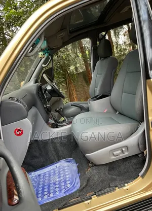 Toyota Land Cruiser 2004 Gold