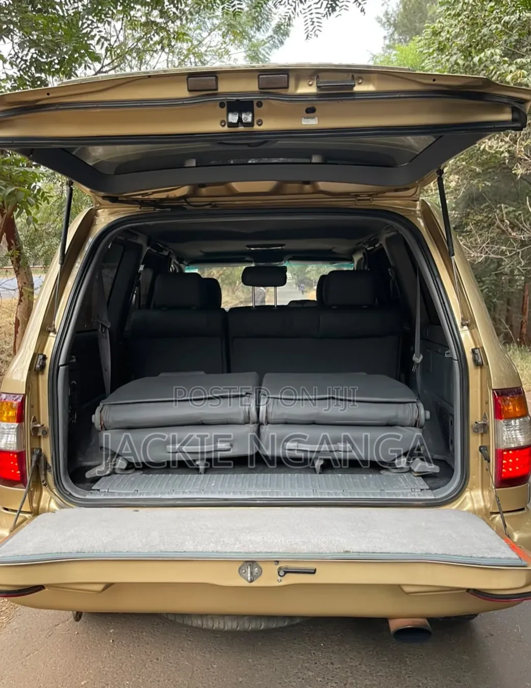 Toyota Land Cruiser 2004 Gold