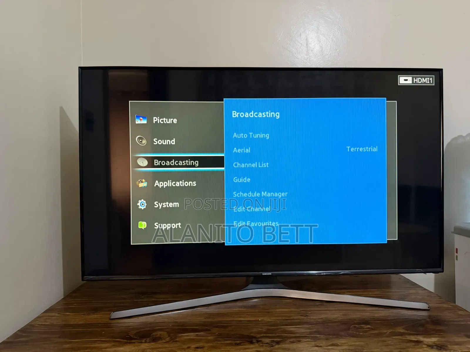 48 Inch Samsung TV