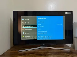 48 Inch Samsung TV