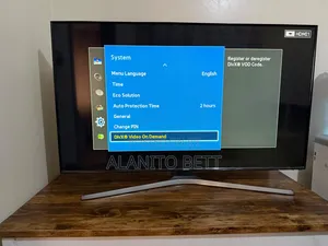 48 Inch Samsung TV