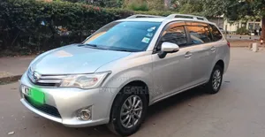 Toyota Corolla Fielder 2014 Silver