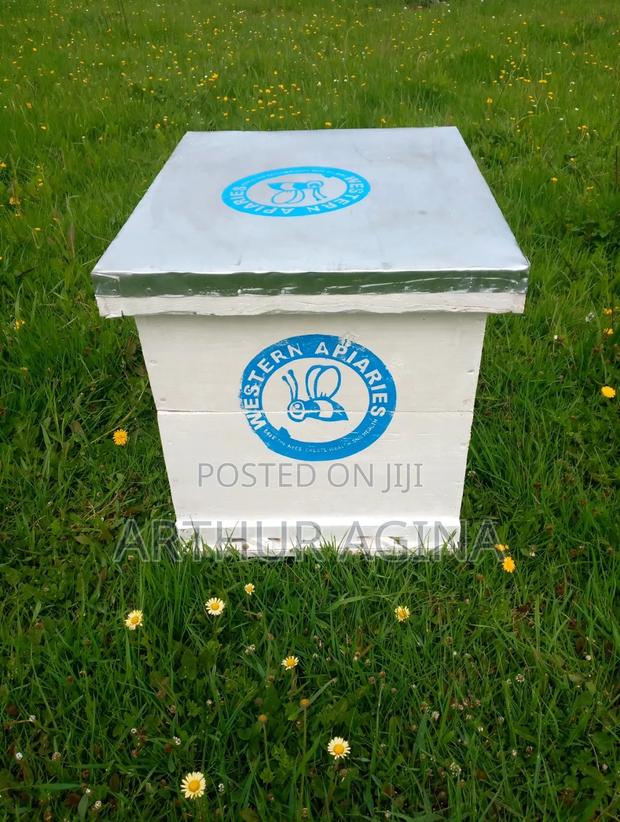 Langstroth Bee Hive