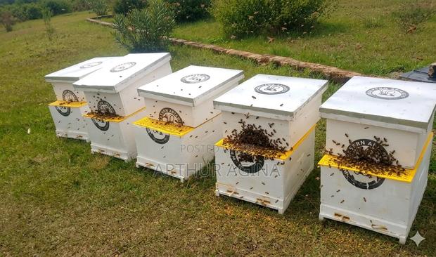 Langstroth Bee Hive - thumbnail 2