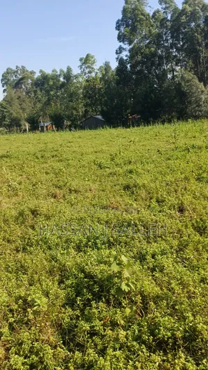 2acres Indangalasia  Matungu