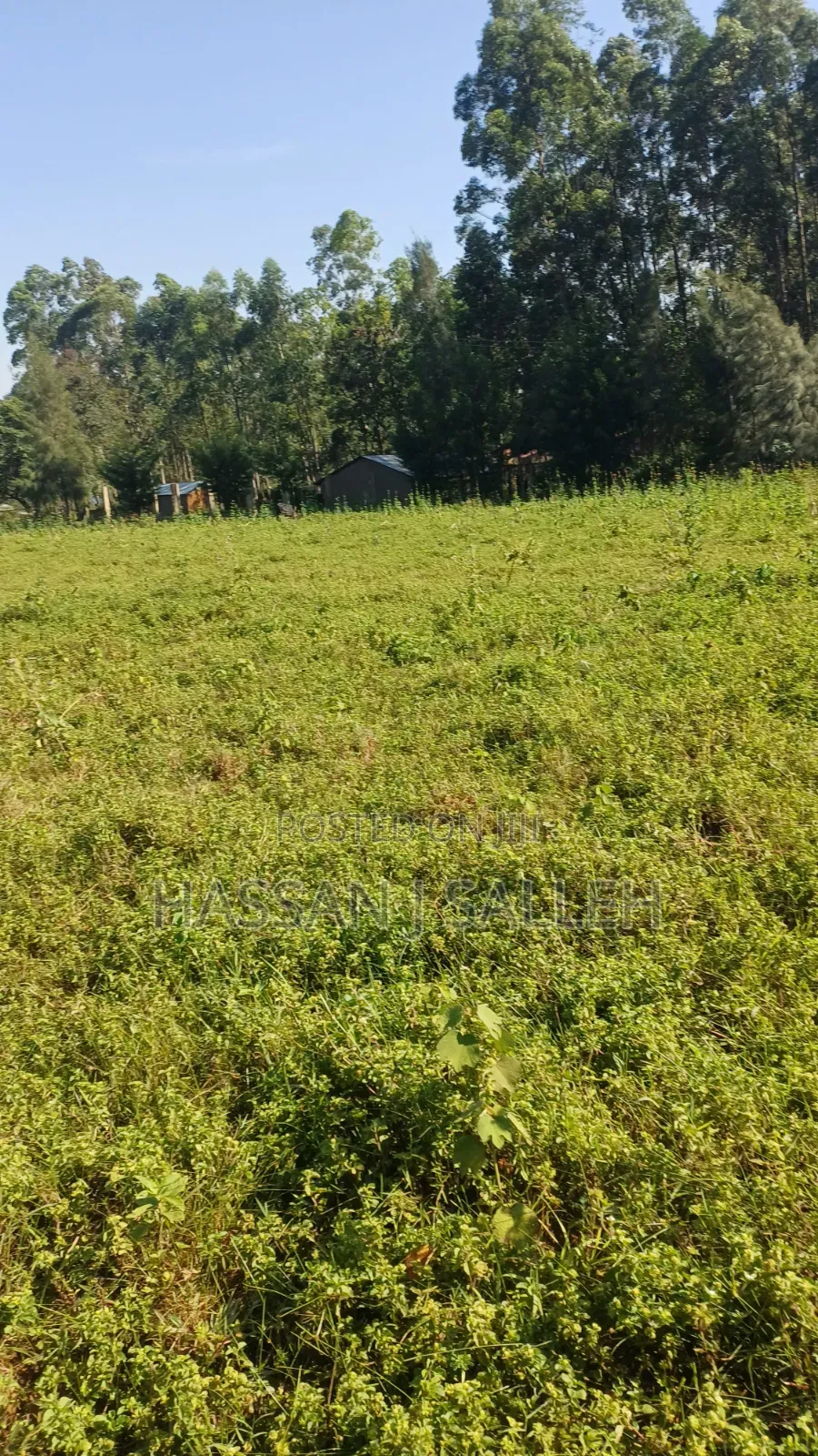 2acres Indangalasia  Matungu
