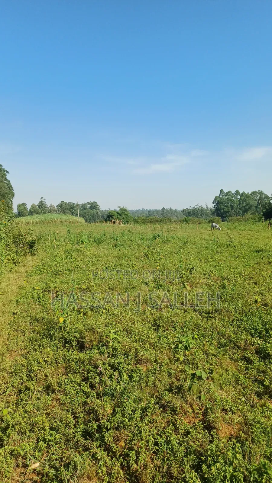 2acres Indangalasia  Matungu