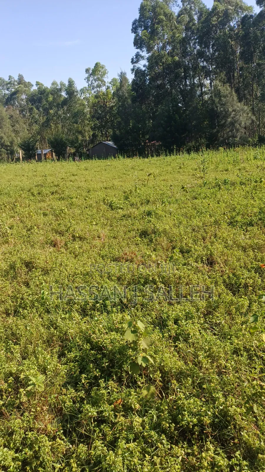 2acres Indangalasia  Matungu