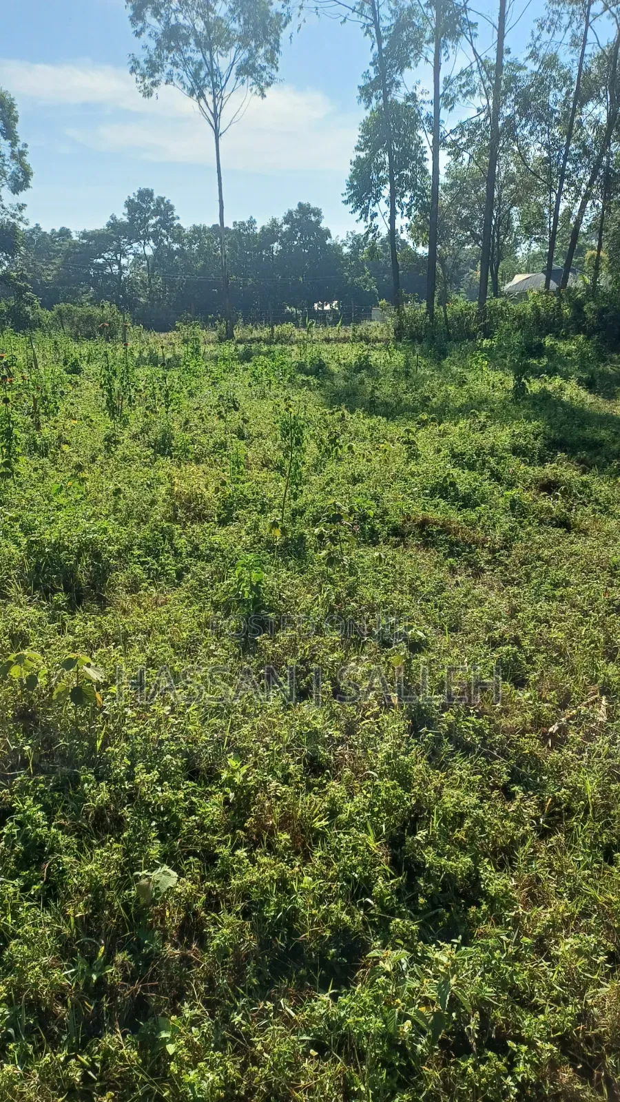 2acres Indangalasia  Matungu